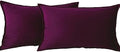 Velvet Purple Throw Pillow Covers 12”x20”Pack of 2 Soft Decorative by JIAHANNHA