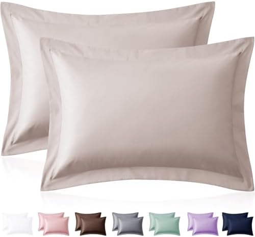 Homiest Beige Pillow Shams Queen Size Set of 2, 2-Inch Flange by Homiest