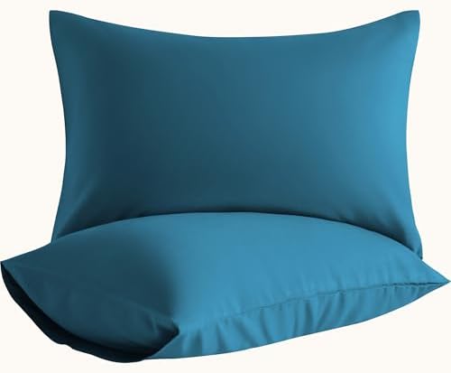 Queen Pillow Cases, 2 Pack, 20x30 in, Microfiber, Slate Blue by Aerlomi