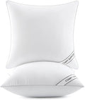 MIULEE 24x24 Pillows Inserts Pack of 2, Down Alternative Virgin Filling by MIULEE