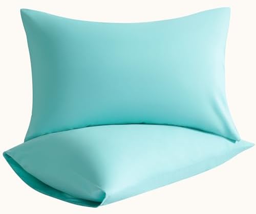 Queen Pillow Cases, 2 Pack, 20x30 in, Microfiber by Aerlomi