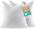 Euro Pillow Inserts Set of 2, Soft Fluffy Square 24 x 24 Inches Decorative by Swandream