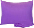 NTBAY Standard Microfiber Pillowcases, 2 Pack, 20 x 26 by NTBAY