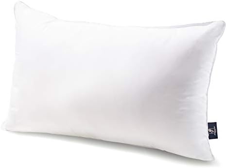 Phantoscope Throw Pillow Insert by Phantoscope