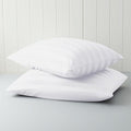 Queen Pillow Protector Set of 4, 100% Egyptian Cotton Pillow Cases by ZaizaiHome