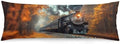 Vintage Train Body Pillow Cover Steam Train Pillowcase by Unknown