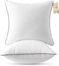 JOLLYVOGUE Euro Size Pillows Set of 2, Luxury Hotel Quality by JOLLYVOGUE