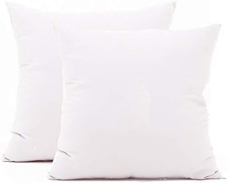 TAOSON Set of 2, 100% Cotton Soft Square Decorative Throw Pillow Protector by TAOSON