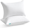 Oubonun 12 x 16 Inches Throw Pillow Insert, 100% Cotton Cover Cushion Inner by Oubonun