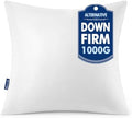 MIULEE 28x28 Euro Pillow Insert 1 Pack, Throw Pillows by MIULEE