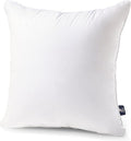 Phantoscope Throw Pillow Insert by Phantoscope