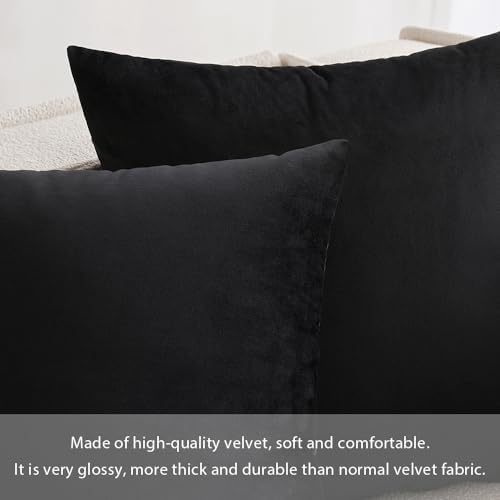 MIULEE 24x24 Inch Euro Velvet Throw Pillow Cover Set of 1 Black - Image 2