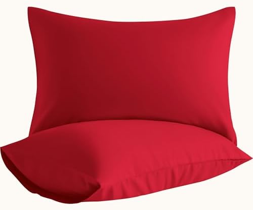 King Pillow Cases, 2 Pack, 20x40 in, Microfiber by Aerlomi