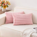 Aegero Pack of 2 Faux Fur Christmas Throw Pillow Covers 12x20 Inch by Unknown