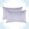 Cooling Pillow Case Covers Only, Standard Size Set of 2 by AilemeiDirect