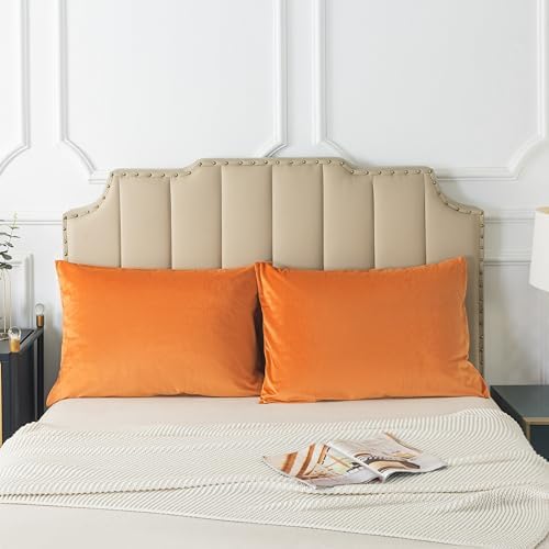 H HOUSEHOLD Set of 2 Velvet Queen Size Pillowcase, Soft and Cozy Luxury Fuzzy - Image 4