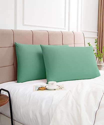 Warmstar Cotton Pillow Cases Queen Size Set of 2, 600 Thread Count Pillowcases - Image 6