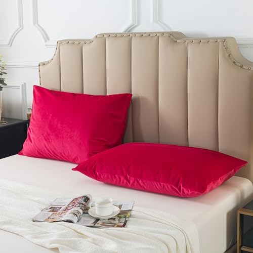 H HOUSEHOLD Set of 2 Velvet King Size Pillowcase, Soft and Cozy Luxury Fuzzy - Image 3