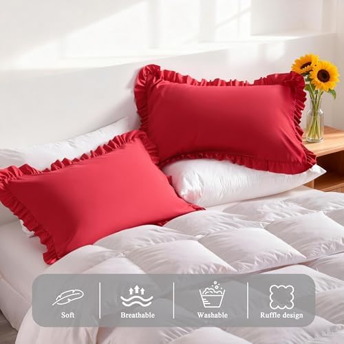 Ruffled Queen Pillow Shams, 2 Pack, 20x30 Inches - Image 4