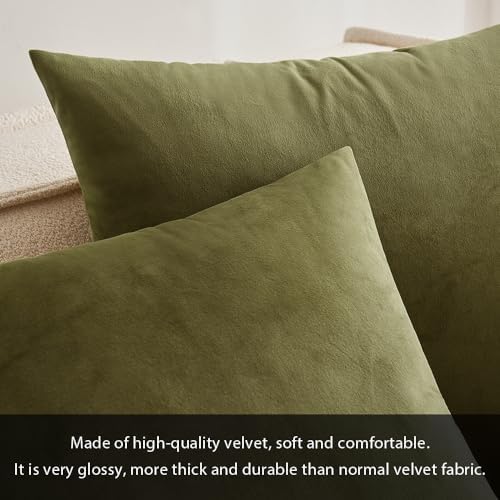 MIULEEVelvet Soft Euro Throw Pillow Covers 24x24 Inch Light Olive Green - Image 2