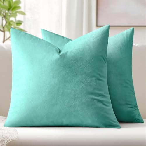 MIULEE 24x24 Inch Pack of 2 Euro Velvet Throw Pillow Covers Aqua Green by MIULEE