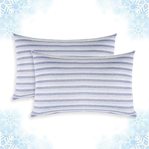 Cooling Pillow Cases Only, Queen Size Set of 2 by AilemeiDirect