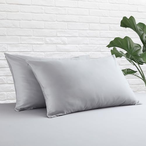 Queen Size Pillow Protector Set of 2, 100% Egyptian Cotton Pillow Cases by ZaizaiHome