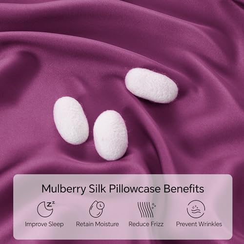INFIIXSO Mulberry Silk Pillow Cases King Size - Image 2