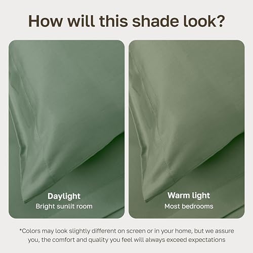 Soft Natural 100% Cotton Sateen Twin Fitted Sheet, Pine Green - Image 6