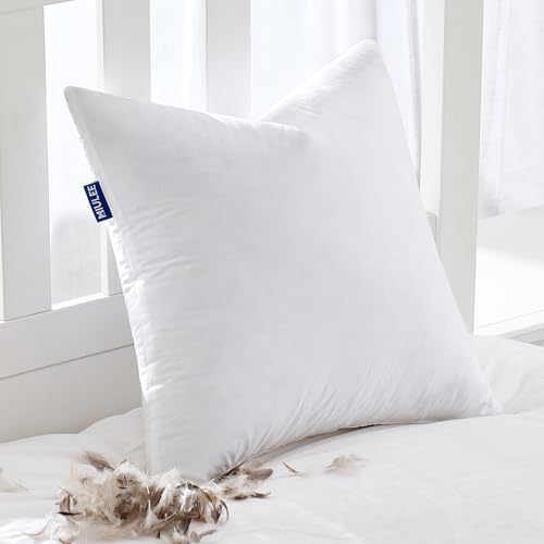 MIULEE Feather Pillow Insert 20x20, Throw Pillow by MIULEE