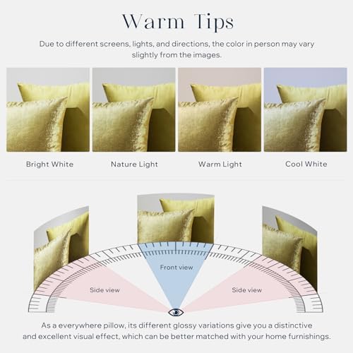 Phantoscope Pack of 2 Sparkling Velvet Decorative Solid Throw Decorative Pillow - Image 6