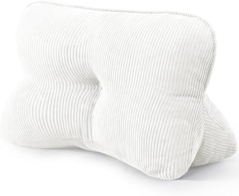 Lumbar Support Back Pillow for Office Chair by SCNUT