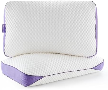 HOMELAB Adjustable Shredded Memory Foam Pillows, King 20x34, 2 Pack by HOMELAB