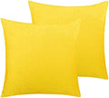 NTBAY Velvet Throw Pillow Covers, 20 x 20 by NTBAY