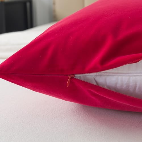 H HOUSEHOLD Set of 2 Velvet Queen Size Pillowcase, Soft and Cozy Luxury Fuzzy - Image 4