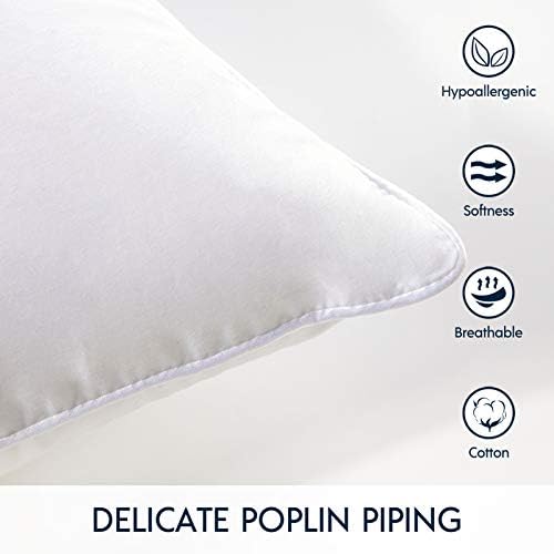 Phantoscope Throw Pillow Insert - Image 4