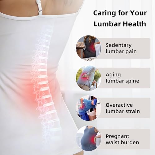Adjustable Lumbar Support Pillow - Image 6