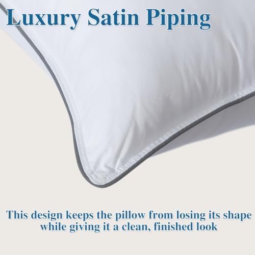 Goose Down Fiber Throw Pillow Insert Set of 2 - Image 3