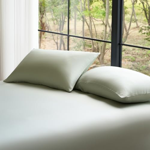 DOZ Pillowcase Set, 100% Viscose derived from Bamboo, Organically Grown by DOZ
