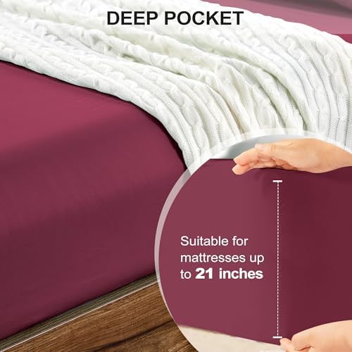 FreshCulture Queen Fitted Sheet Only - Image 4