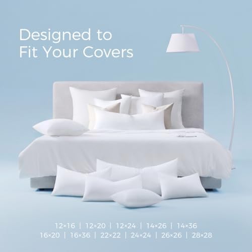Phantoscope 26x26 Pillow Insert, Soft Lumbar Support Pillow - Image 6