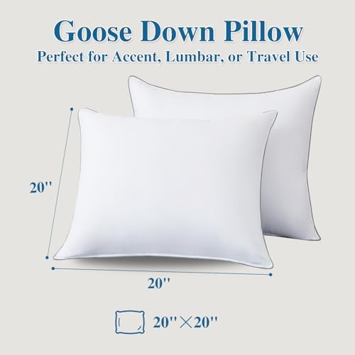 Goose Down Fiber Throw Pillow Insert Set of 2 - Image 4