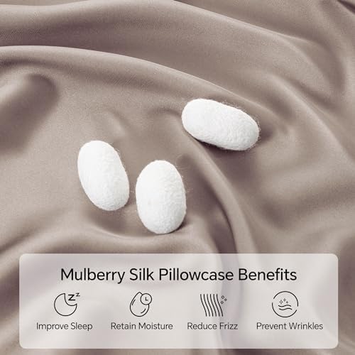 INFIIXSO Silk Pillow Cases 2 Pack, Standard Size, Hidden Zipper - Image 2