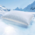 puredown® Cooling Goose Feather Down Pillow, Queen Size by Puredown