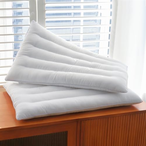 2 Pack Thin Pillow for Stomach and Back Sleeper Low Pillow Flat Bed Pillow Flat by Suhedy