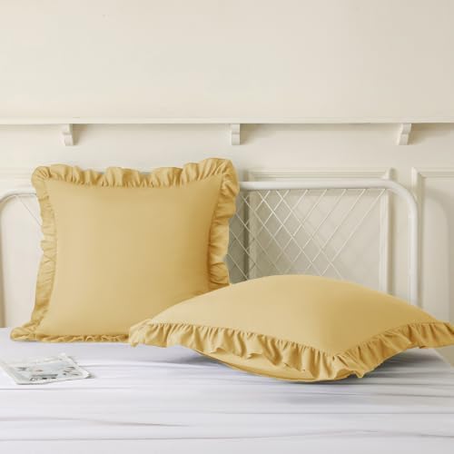 KKJIAF 2 Pack Ruffle Pillow Cases 22x22 Inches - Image 4