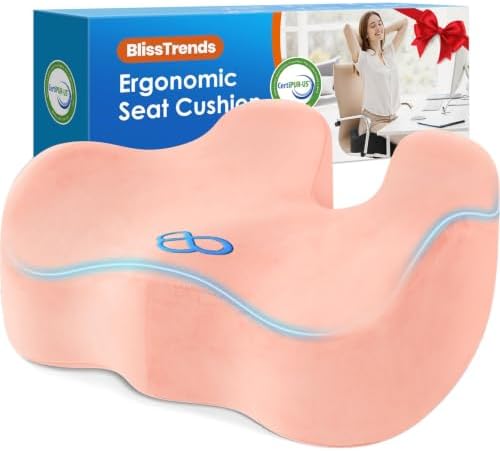 BlissTrends Extra Thick Seat Cushion by BlissTrends
