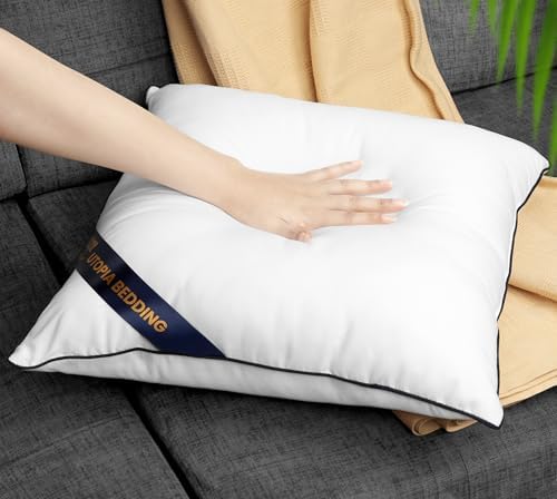 Utopia Bedding 22x22 Throw Pillow Inserts, Decorative Pillows - Image 6