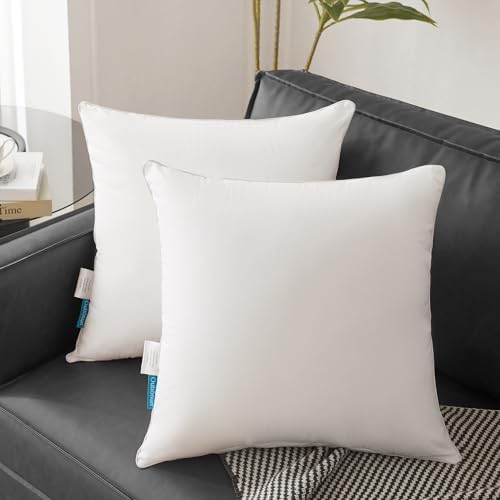 Oubonun 20"x20" Pillow Inserts - Image 2