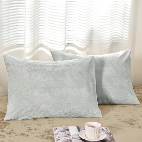 PHF Truly Velvet Pillowcases Standard Size 20"x26", No Insert by PHF